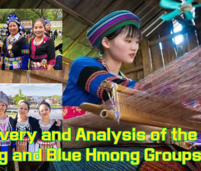 Discovery and Analysis of the White Hmong and Blue Hmong Groups